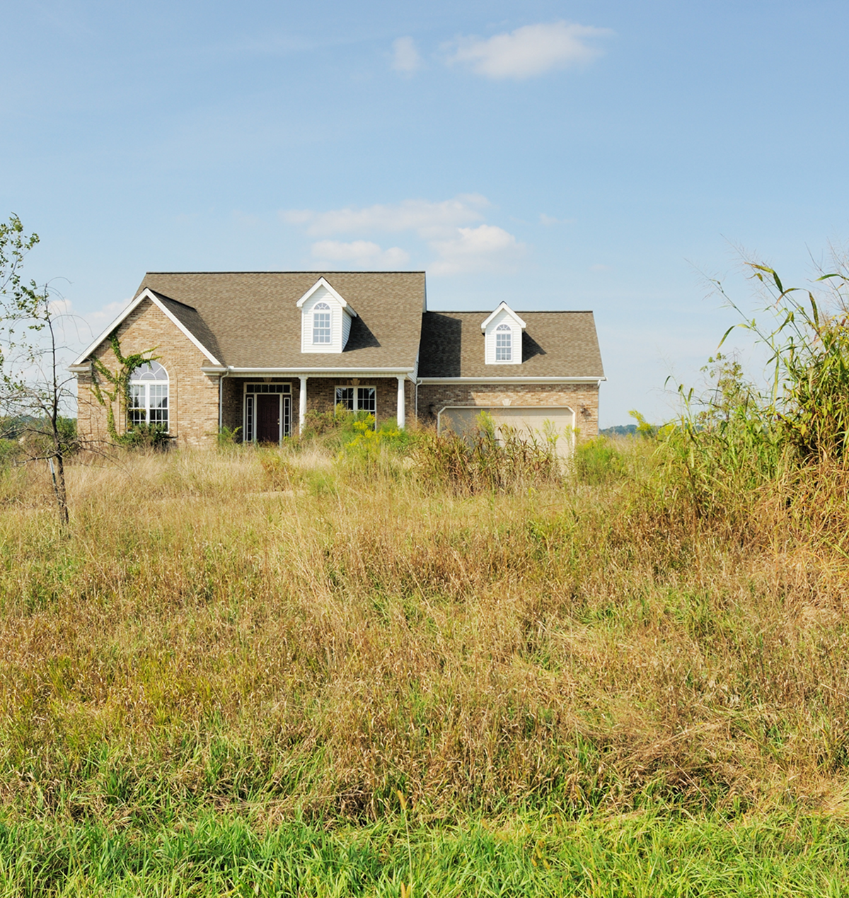 Rural home surrounded by tall grass